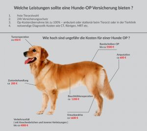 Für was sollte eine Hunde Op Versicherung Leisten ?