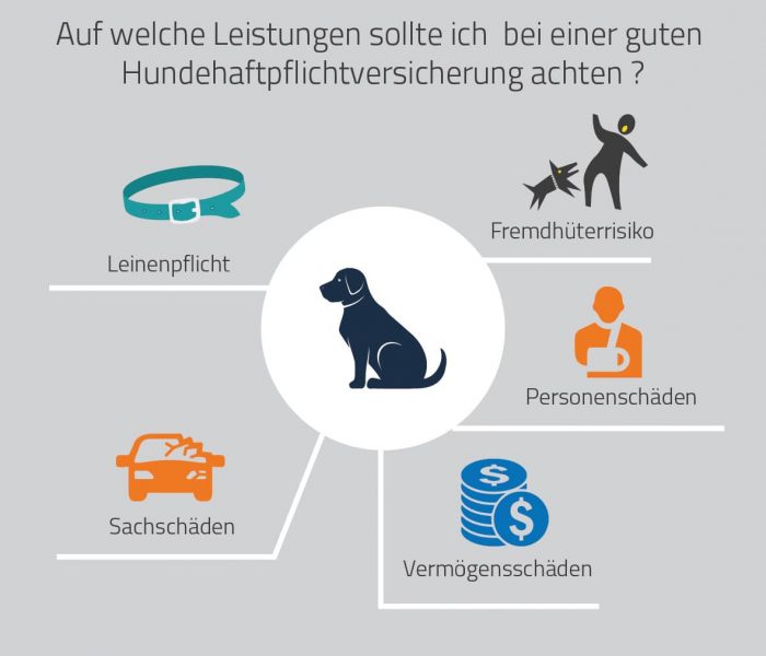 Hundehaftpflicht Leistungen