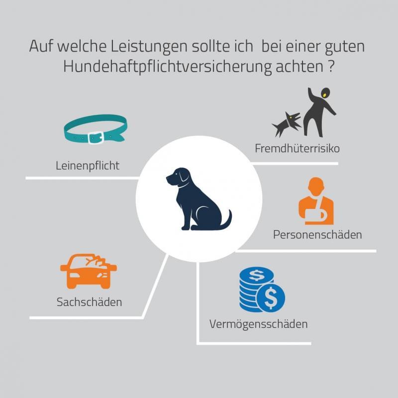 Hundehaftpflicht Leistungen