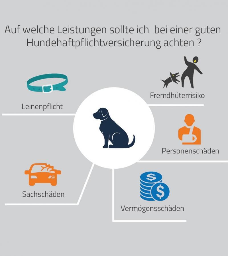 Hundehaftpflicht Leistungen