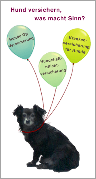 Welche Hundeversicherung macht Sinn ?