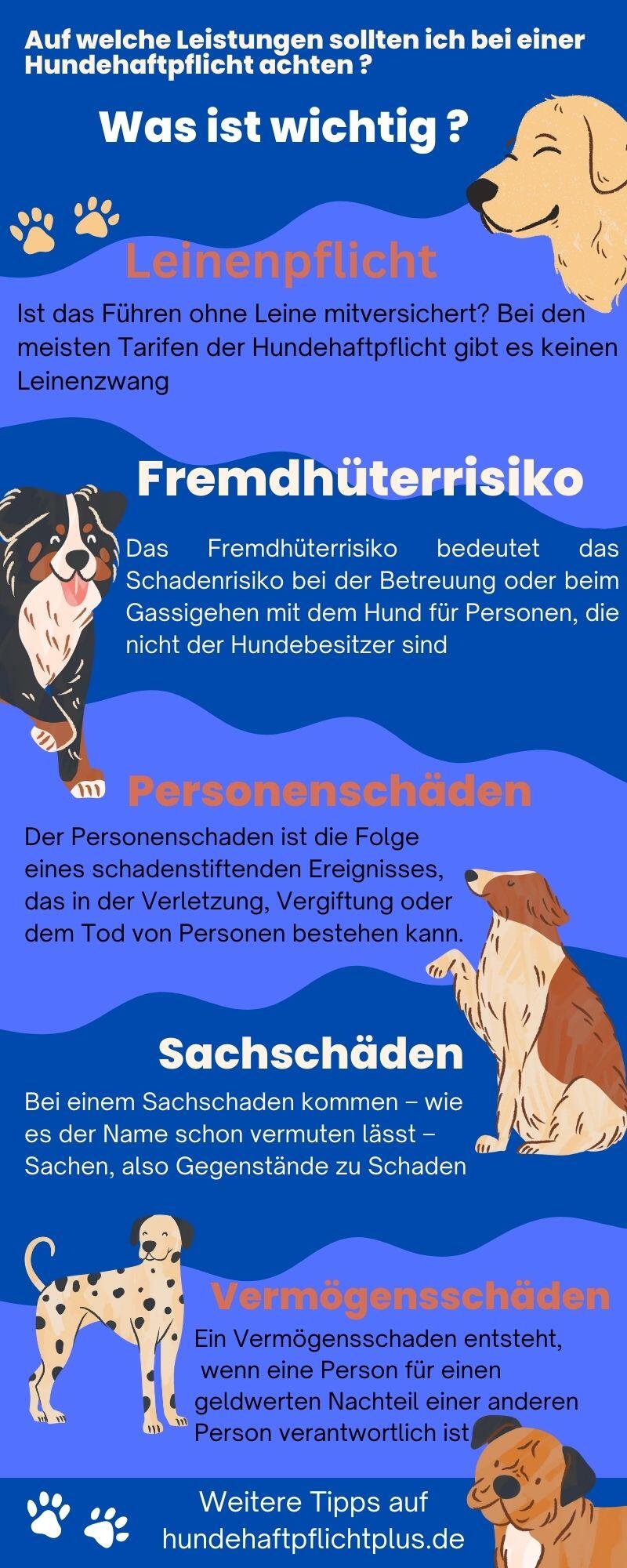 Leistung ammerländer